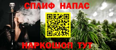 apvp Нальчик
