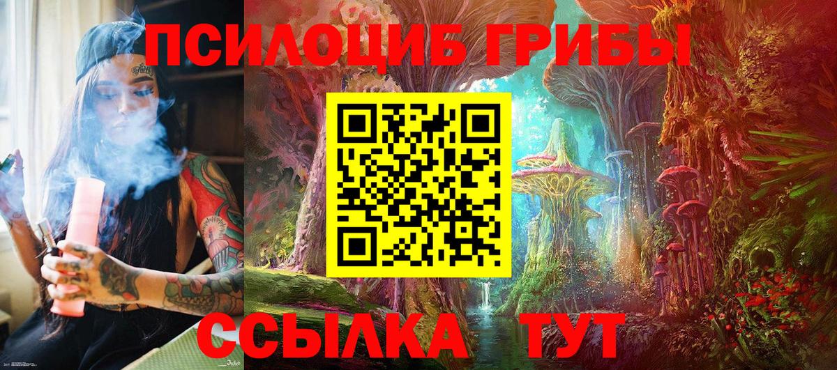 Псилоцибиновые грибы Magic Shrooms  Псилоцибиновые грибы мицелий  Вход с VPN  Сланцы 